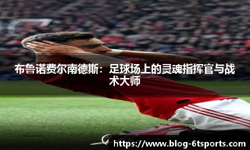 6T体育平台
