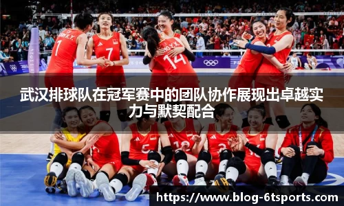 6T体育平台