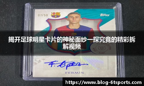 6T体育登录入口